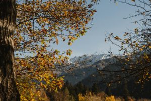 Zdjęcie do artykułu: Najpiękniejsze parki krajobrazowe w Polsce